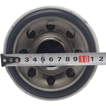 Amazon.com: XYZIL Engine Lube Oil Filter P551441 BD7325